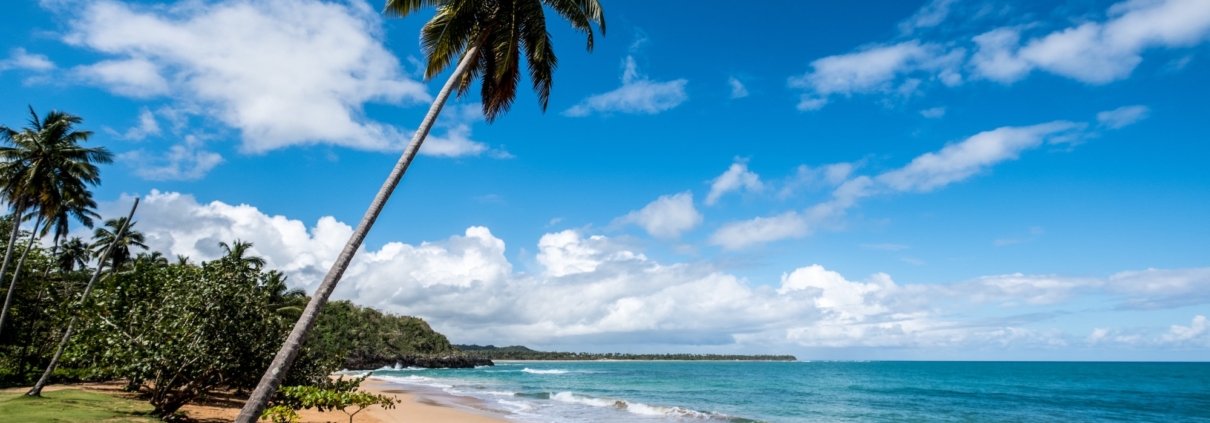 Wishes and Waves Travel