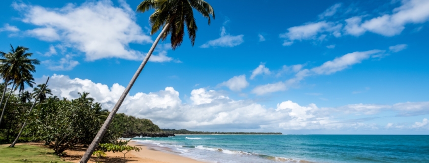 Wishes and Waves Travel