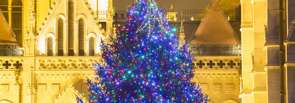 Wishes and Waves Travel