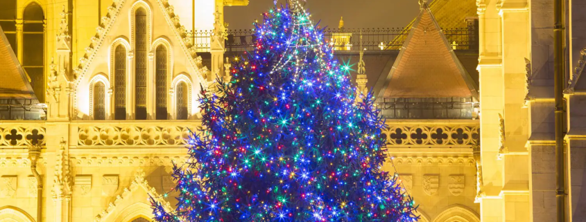 Wishes and Waves Travel